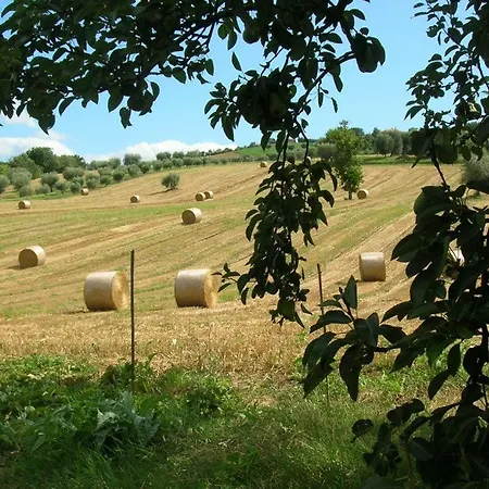 Alla Vecchia Cascina Farm stay