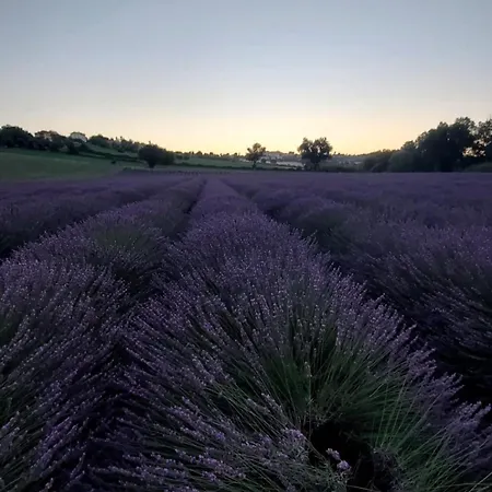Alla Vecchia Cascina Farm stay *