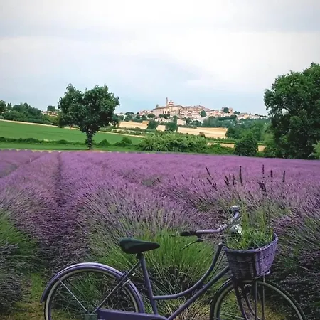 Alla Vecchia Cascina Farm stay *