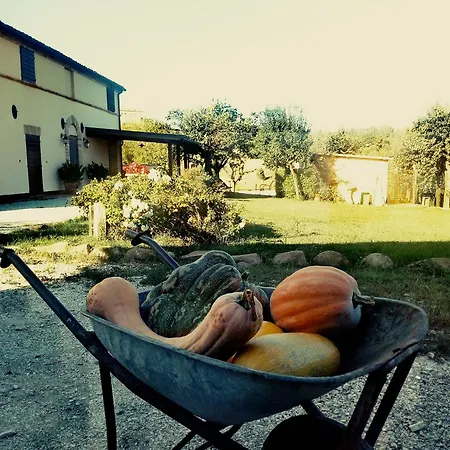 Alla Vecchia Cascina Farm stay